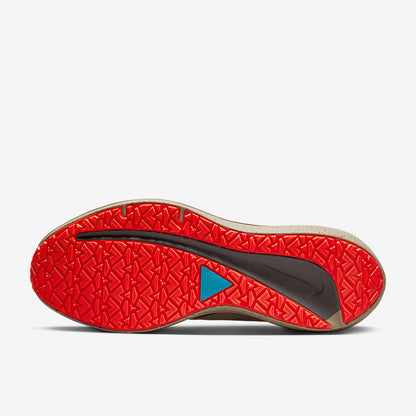 Nike Air Winflo 9 Shield