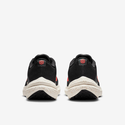 Nike Winflo 10