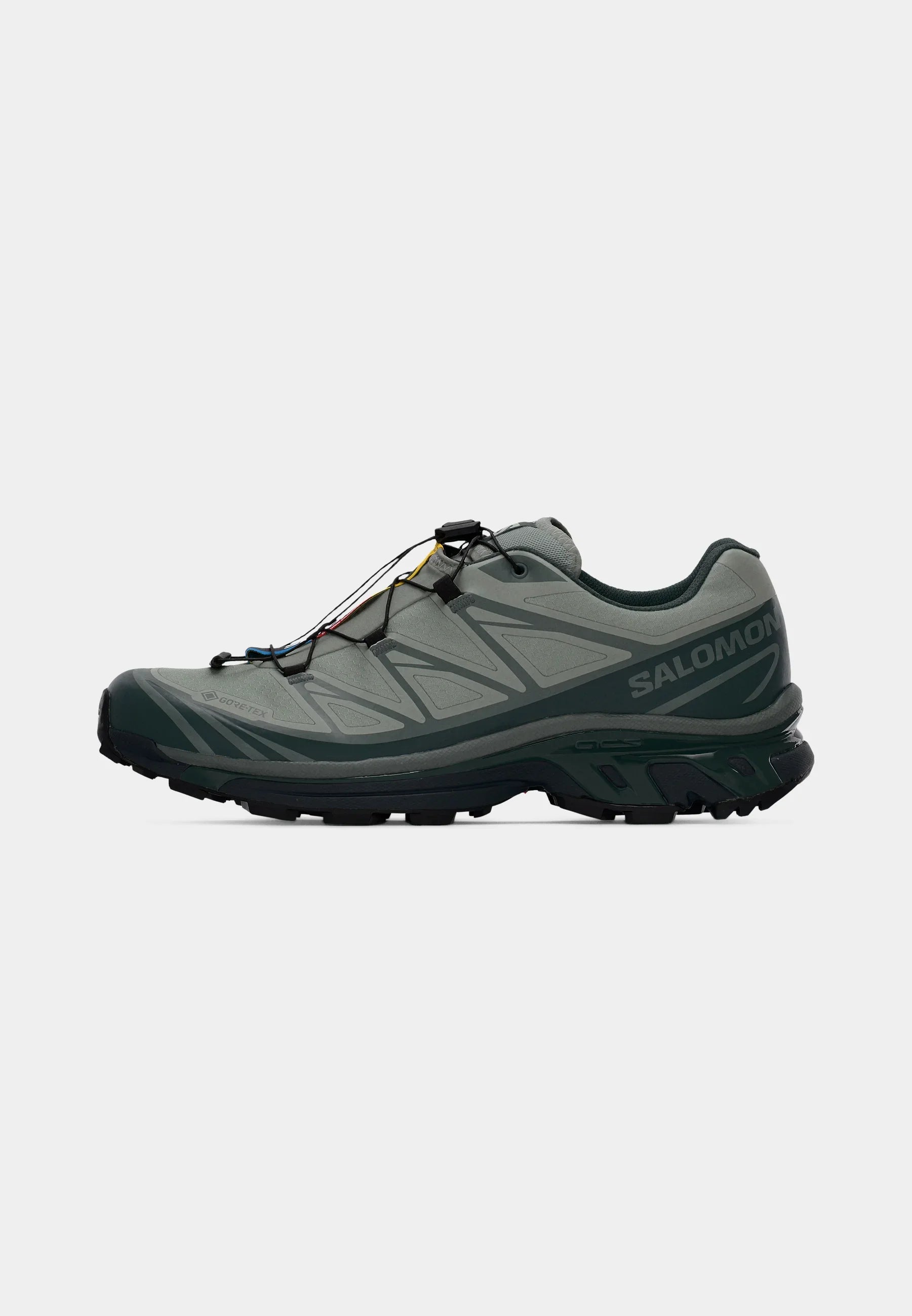 Salomon XT-6 GTX IRON Sedona Sage