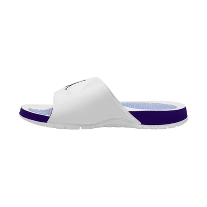 Men's Jordan Hydro 5 Retro "Grape"