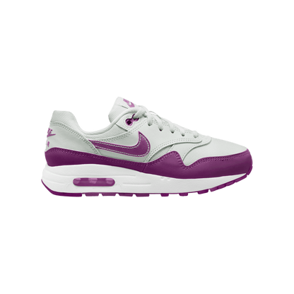Big Kids' Air Max 1 "Viotech"