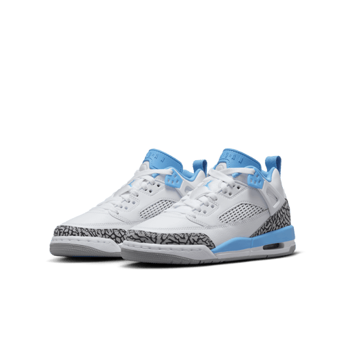 Big Kids' Jordan Spizike Low "UNC"