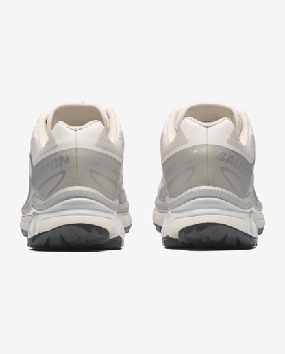 Salomon XT-6 Rainy Day Paloma / FTW Silver