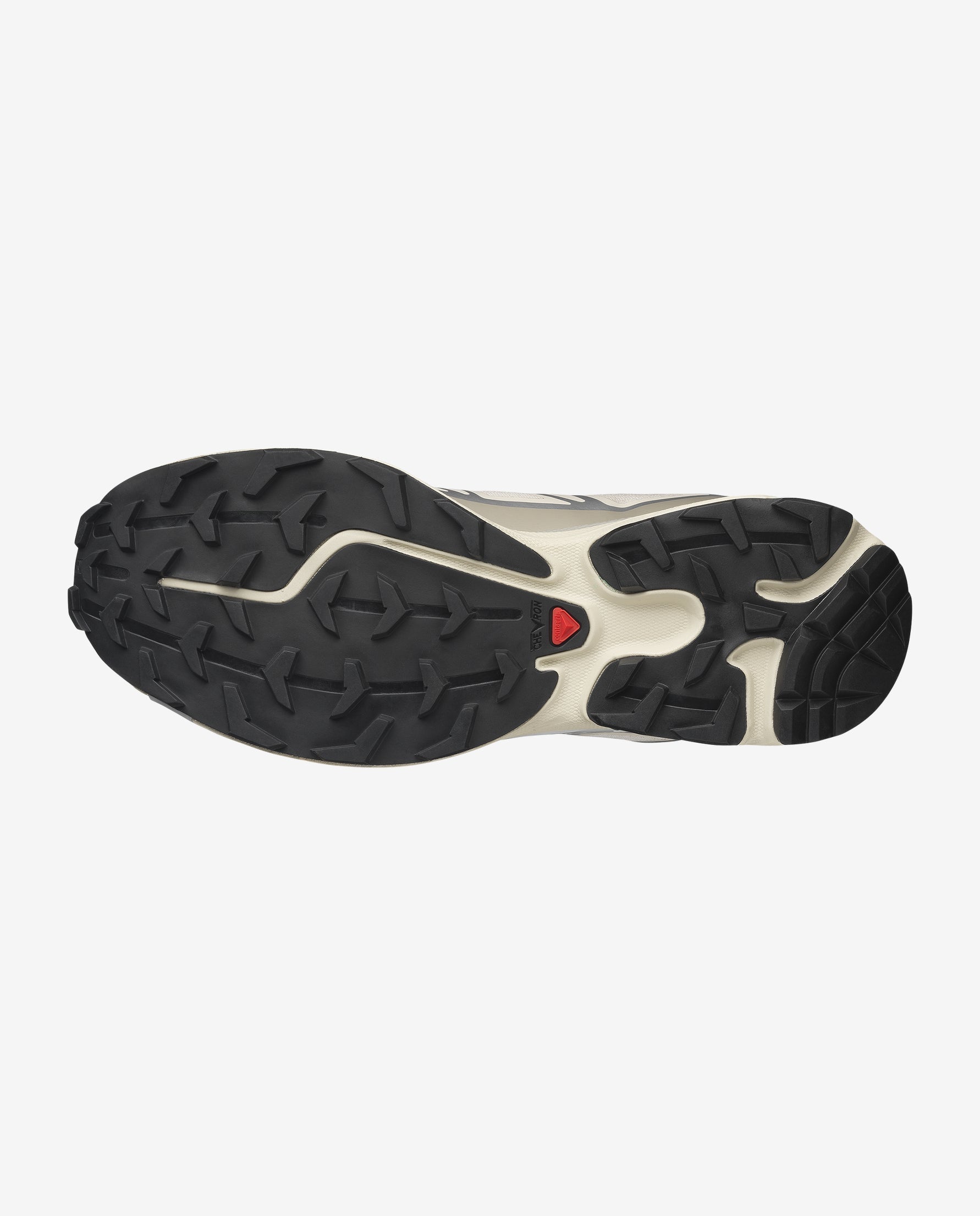 Salomon XT-6 Rainy Day Paloma / FTW Silver