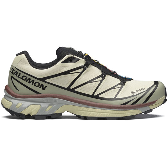 Salomon XT-6 GTX Aspargus Green/Tea/Bitter Chocolate