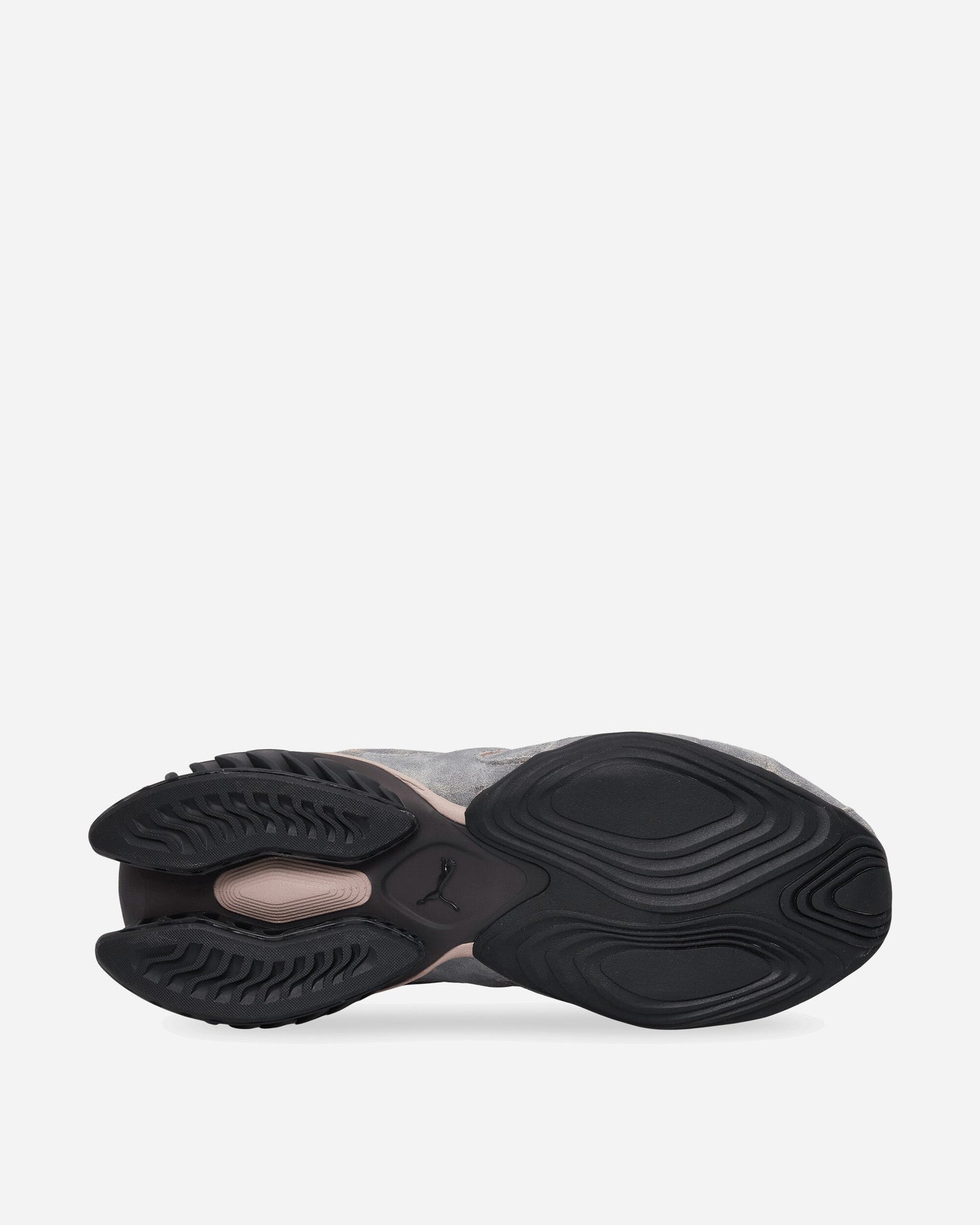 CELL GEO Biology Sneakers Oak Branch / Flat Dark Gray