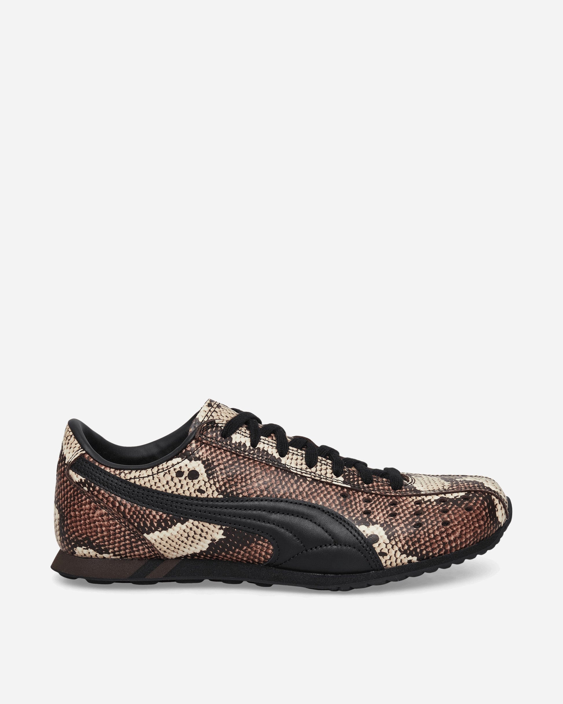 Sprint Snake Sneakers Russet Brown / Black
