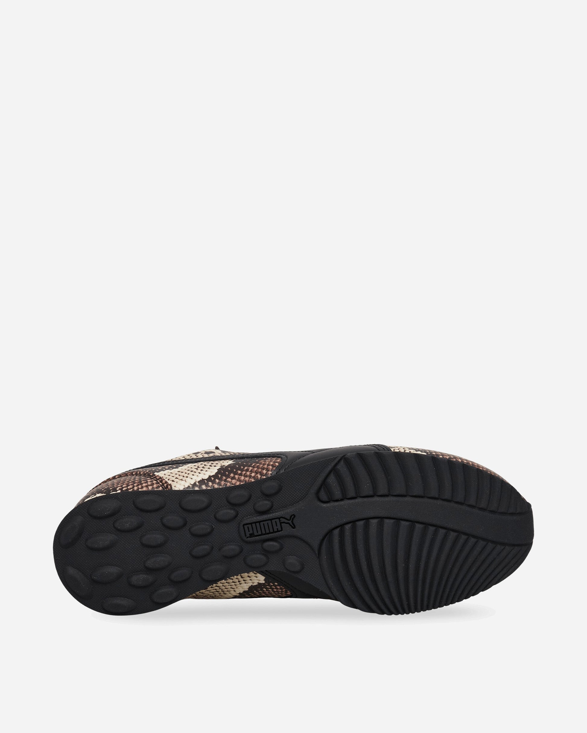 Sprint Snake Sneakers Russet Brown / Black