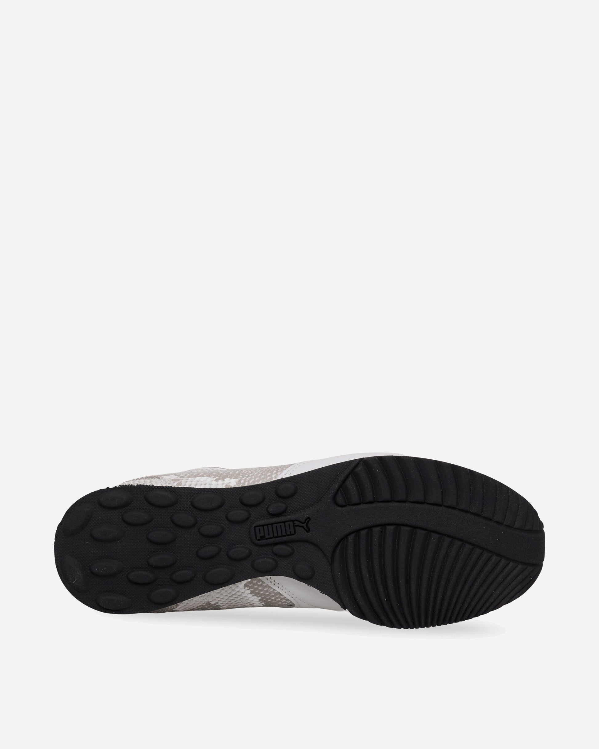Sprint Snake Sneakers Vapor Gray / Feather Gray