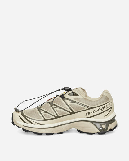 XT-6 Sneakers Eucalyptus / Grape Leaf / Almond